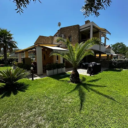 Neli * نيوس مارماراس